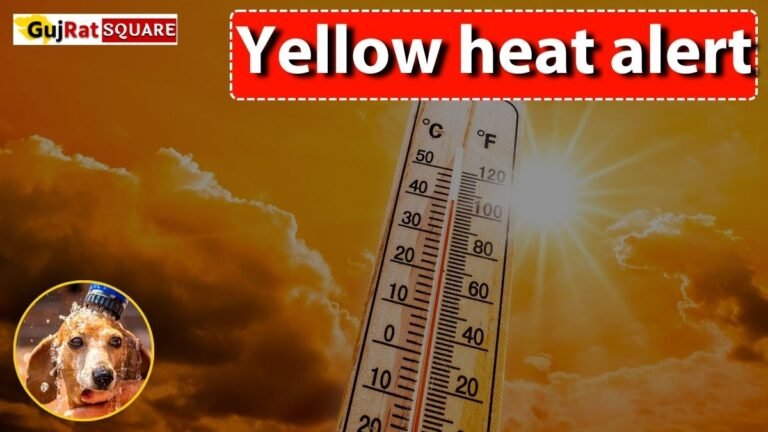 Yellow heat alert in five districts today
